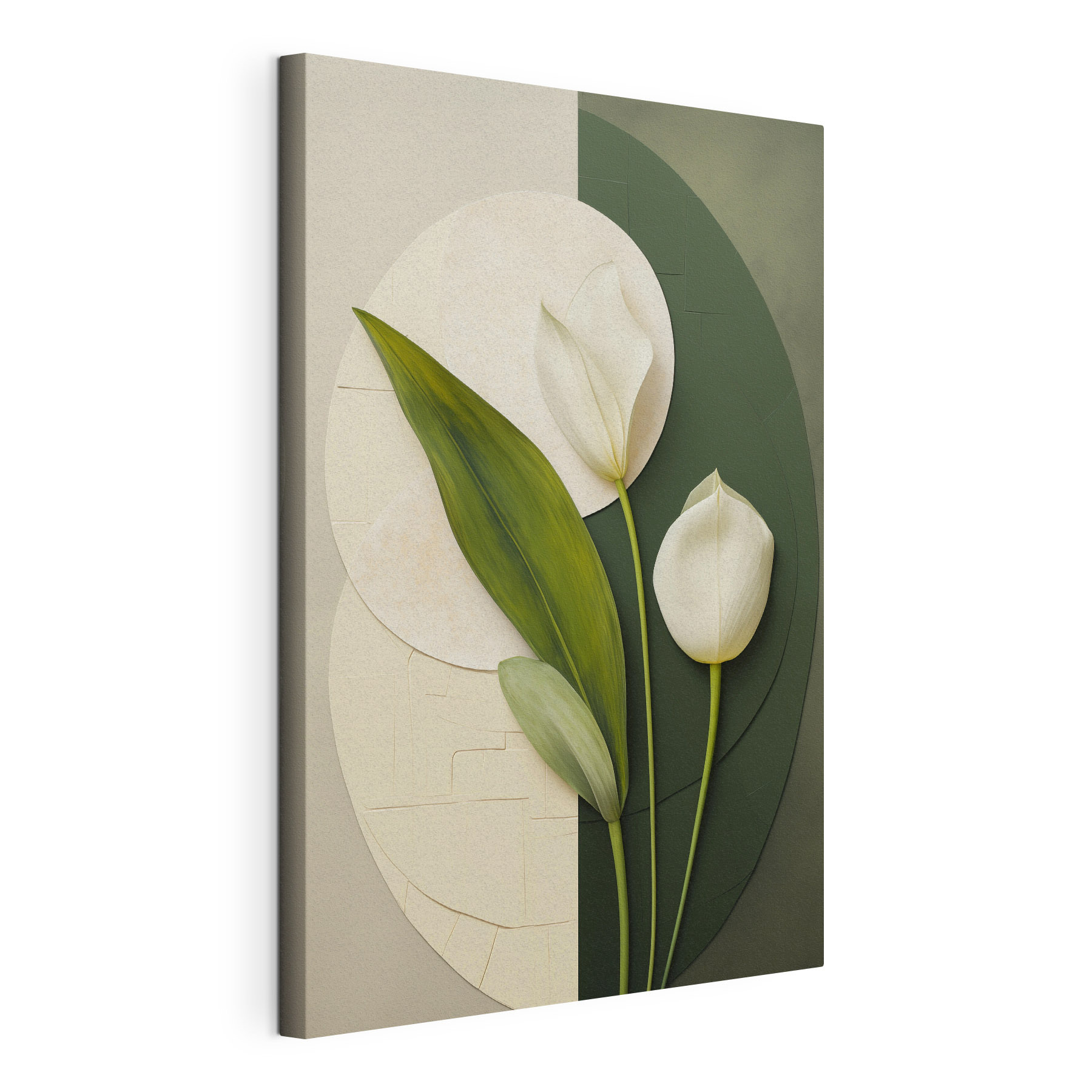 White flowers with green leaves White flowers with green leaves