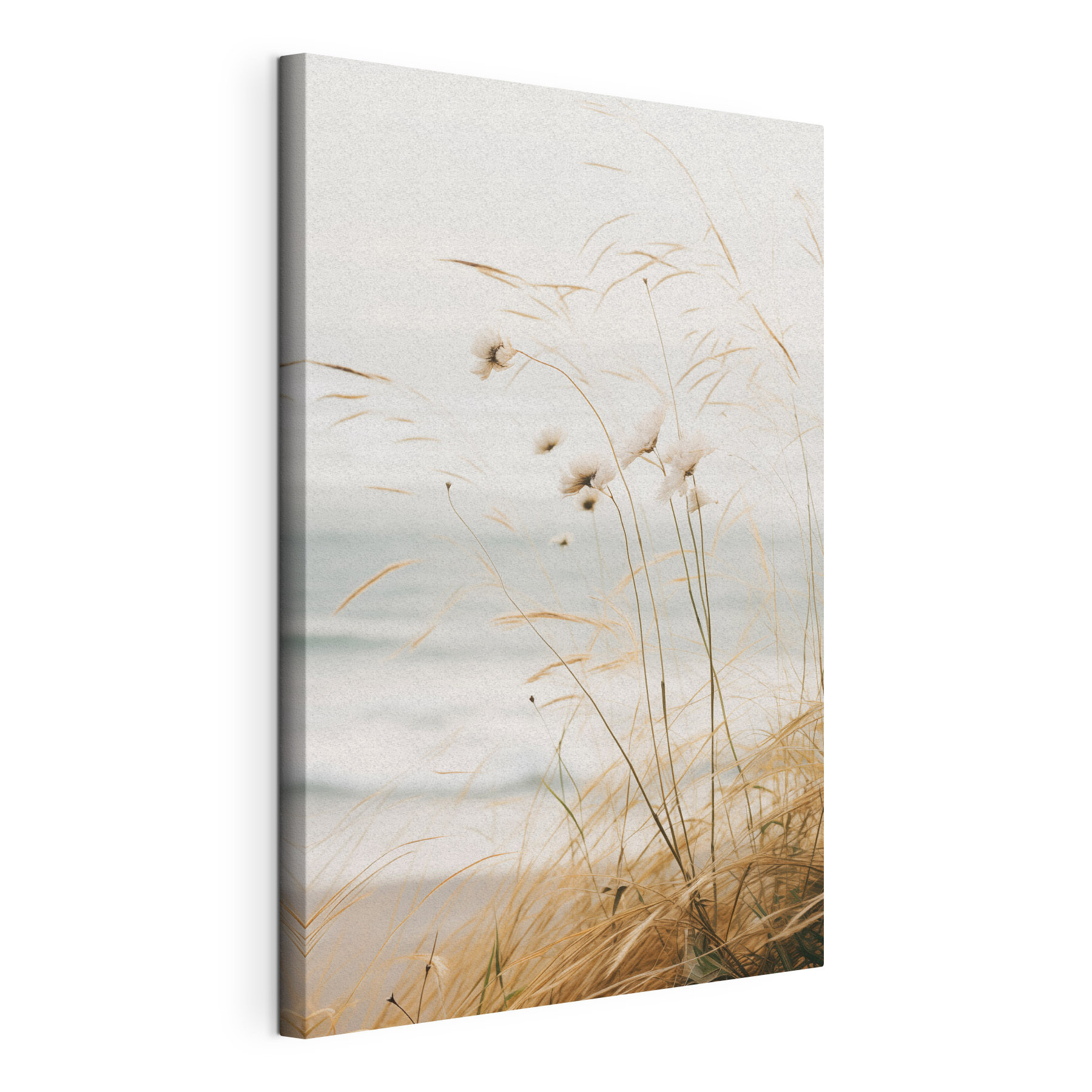 Gentle breeze through tall grasses