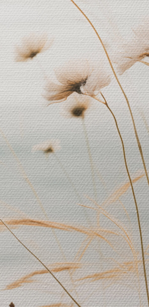 Gentle breeze through tall grasses