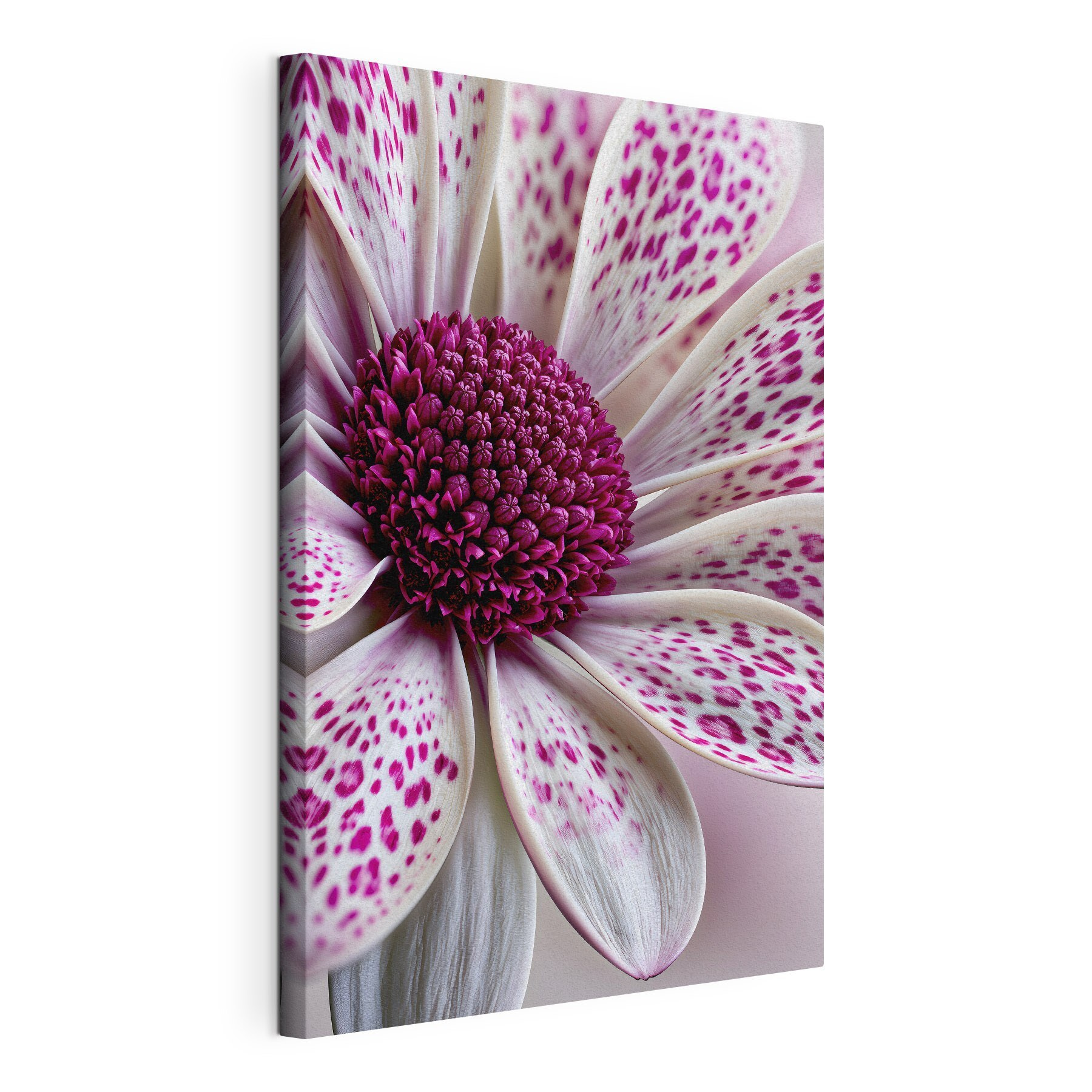 Stunning floral patterns in bloom