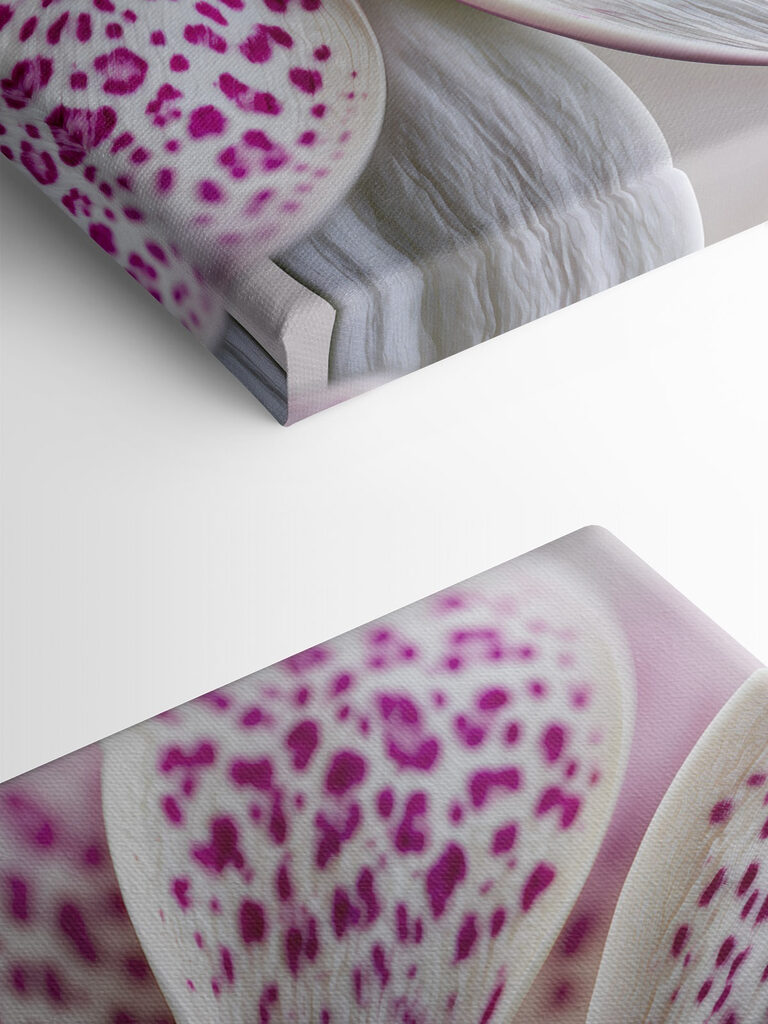 Stunning floral patterns in bloom