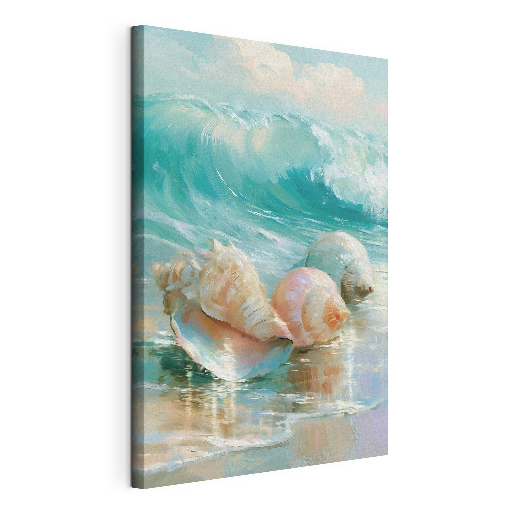Group of seashells on a beach Group of seashells on a beach