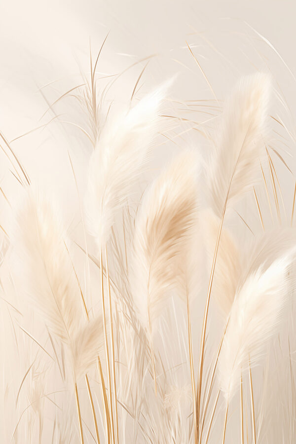 Group of white and brown feathers Group of white and brown feathers