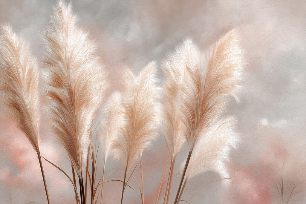 Group of feathered plants Group of feathered plants