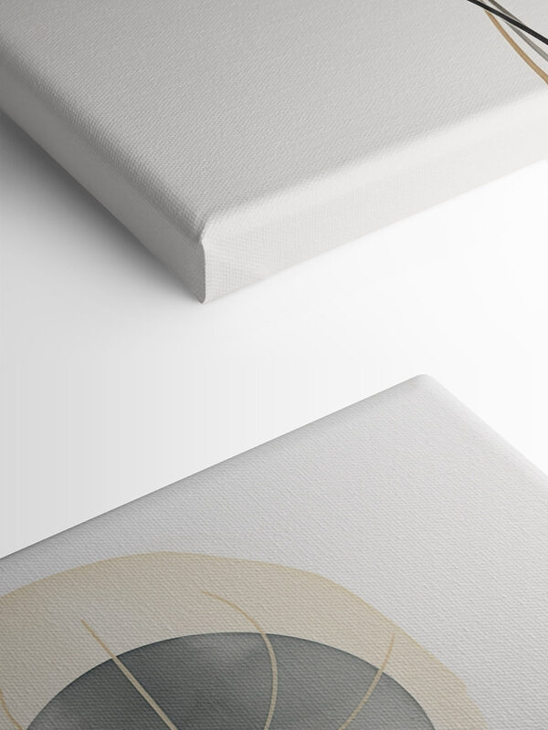 Elegant abstract circles in soft colors Elegant abstract circles in soft colors