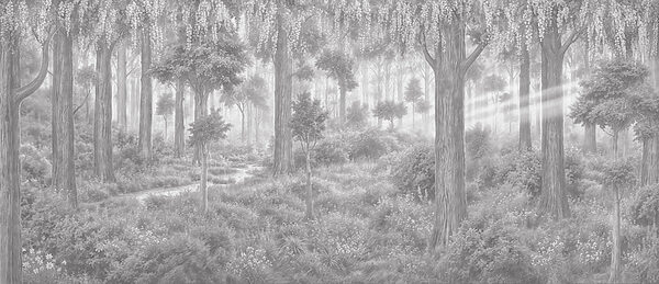 Forest with trees and plants Forest with trees and plants