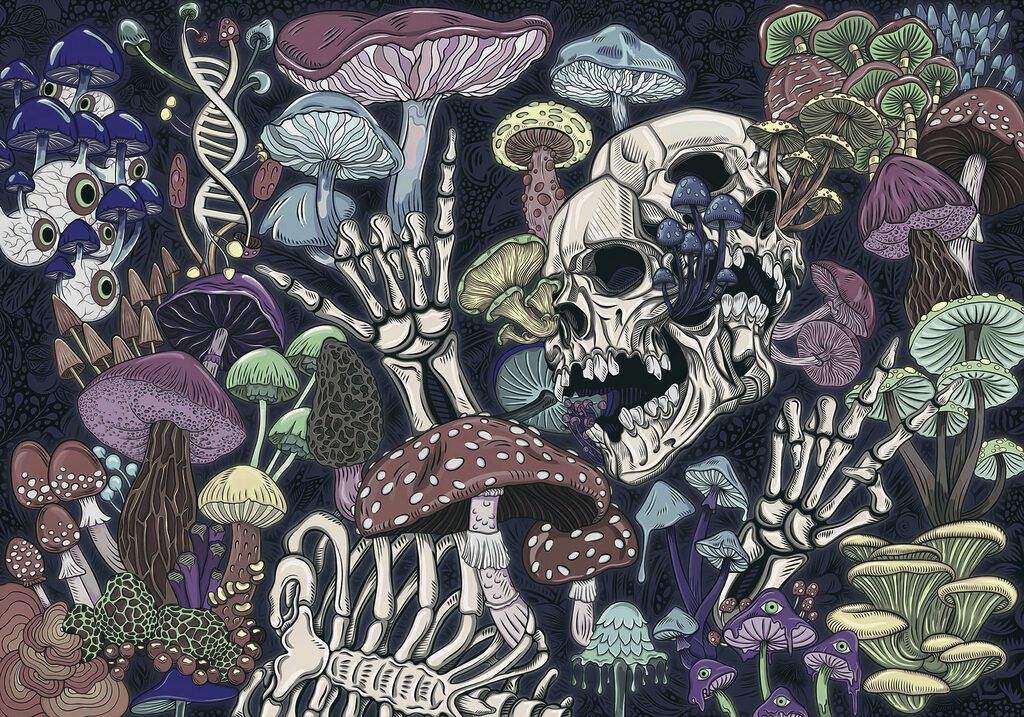 Skeleton and mushrooms with a hand