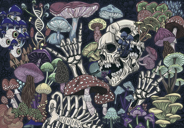 Skeleton and mushrooms with a hand