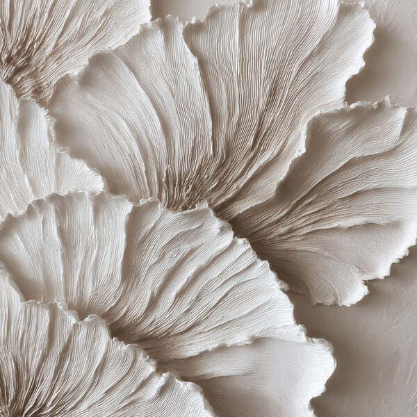Elegant layers of textured petals