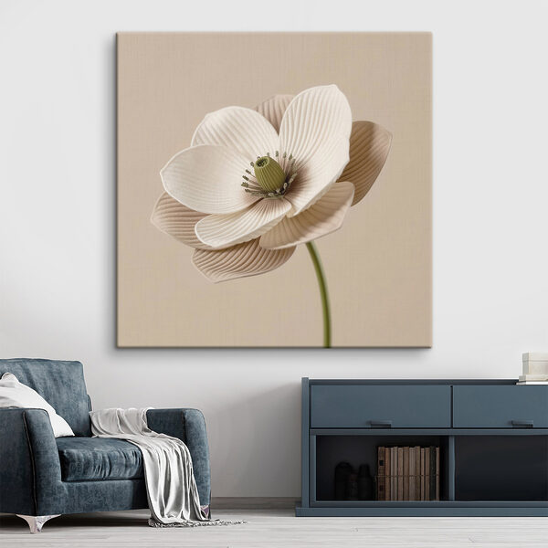 Delicate flower with soft petals