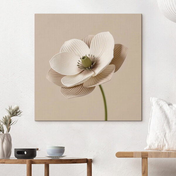Delicate flower with soft petals