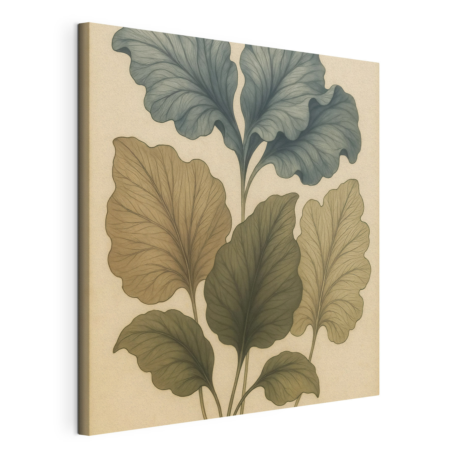 Drawing of a plant