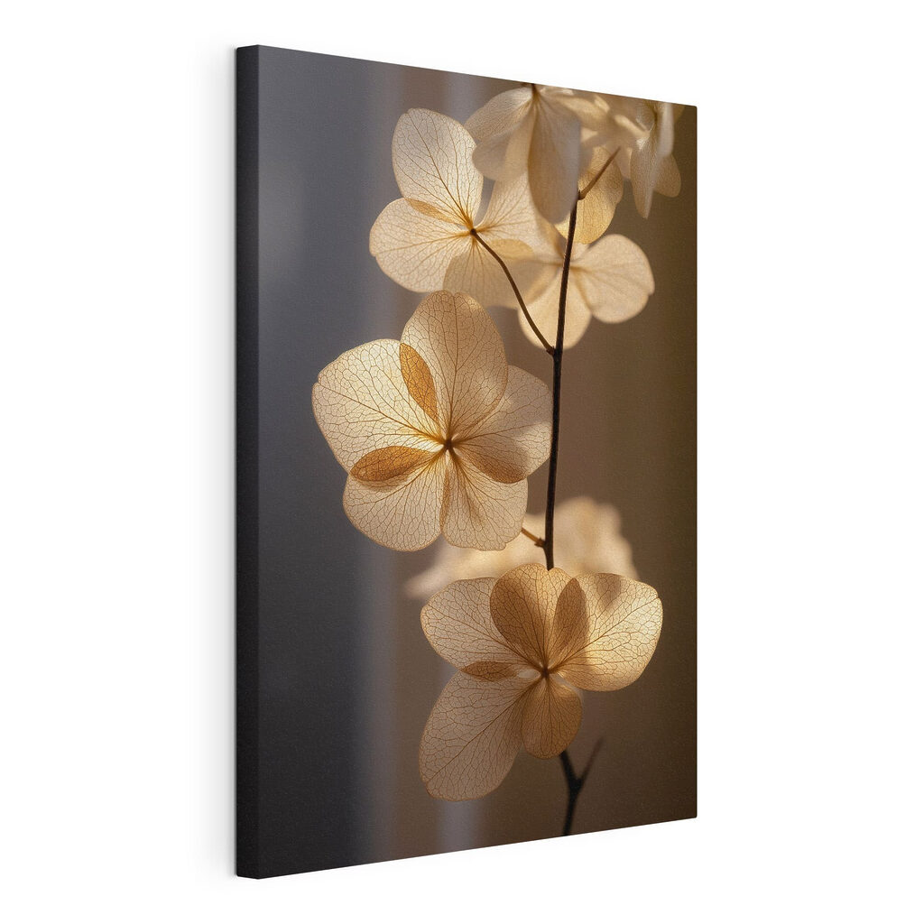 Delicate petals catching soft light