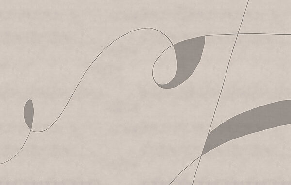 Grey and black swirly line Grey and black swirly line