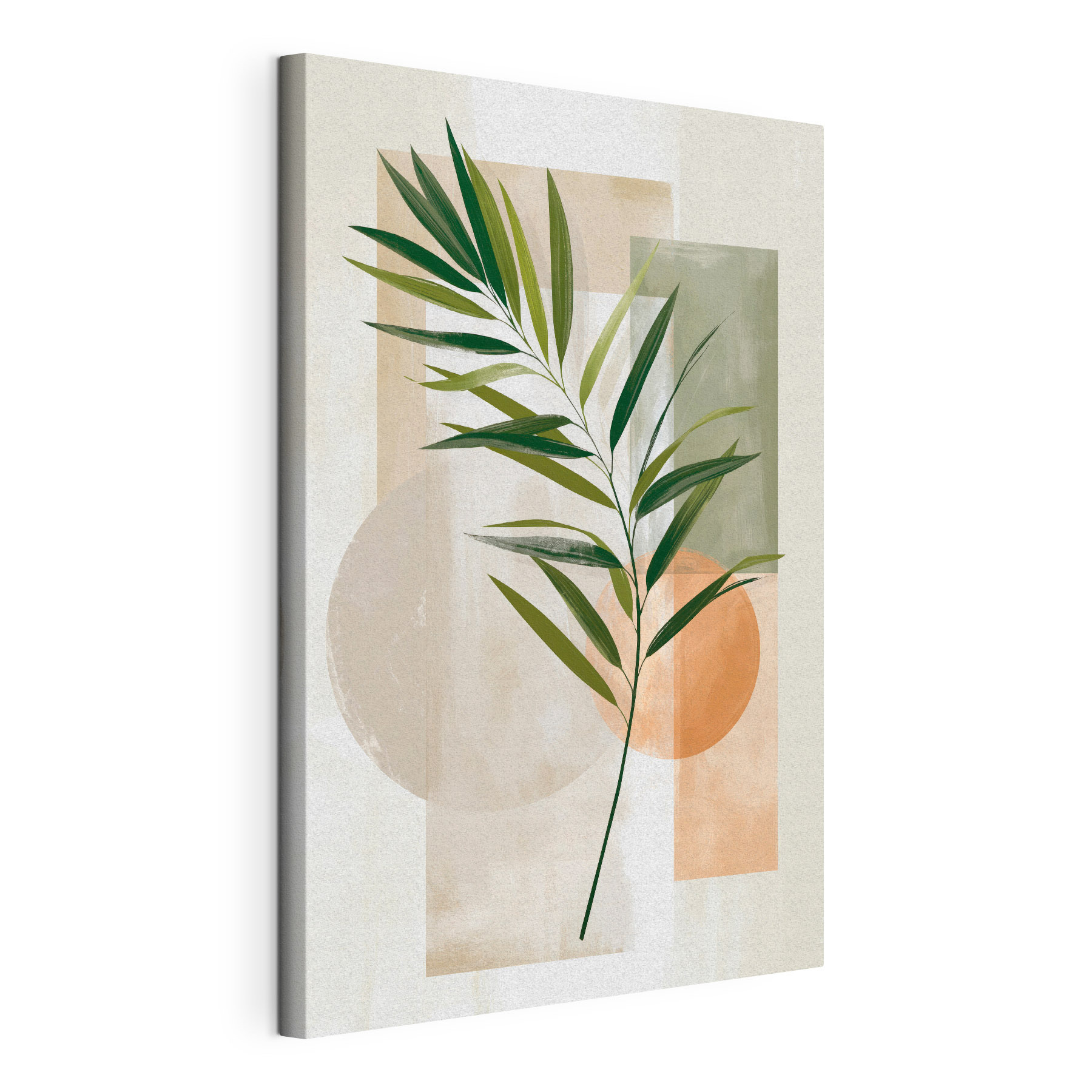 Green leaf on a white background