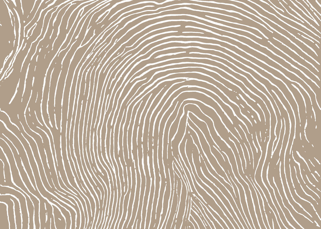Natural lines create a unique pattern Natural lines create a unique pattern