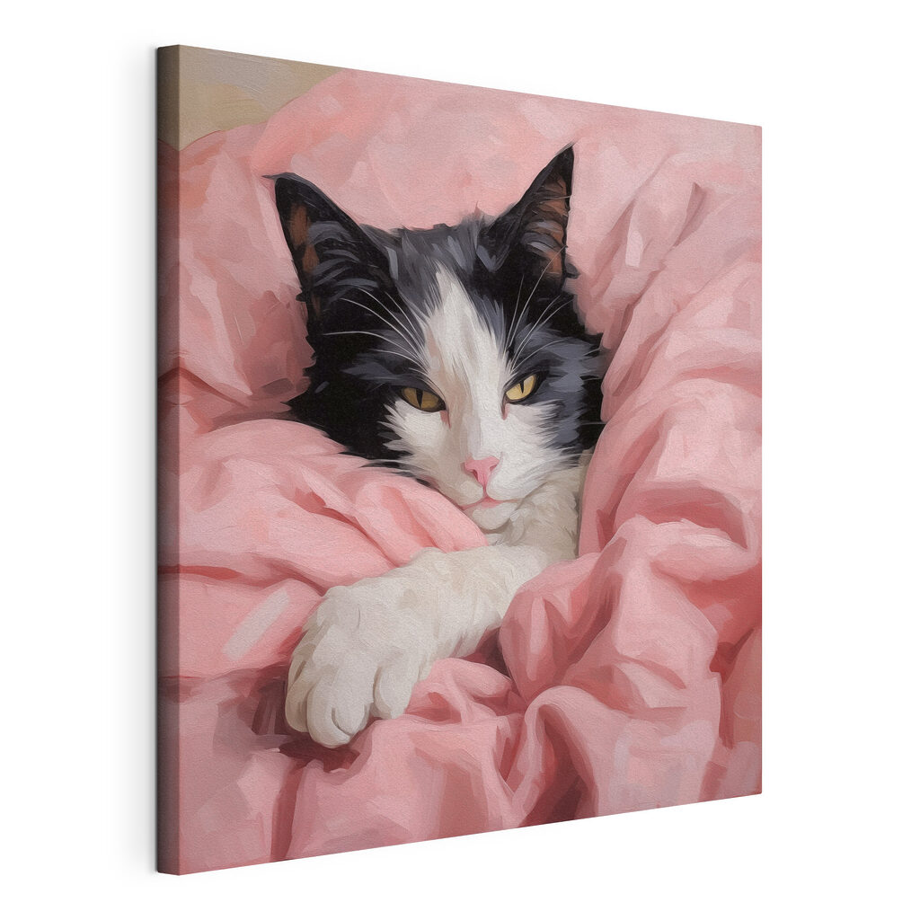 Cat lying in a blanket