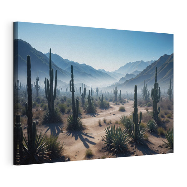 Cactus in a desert