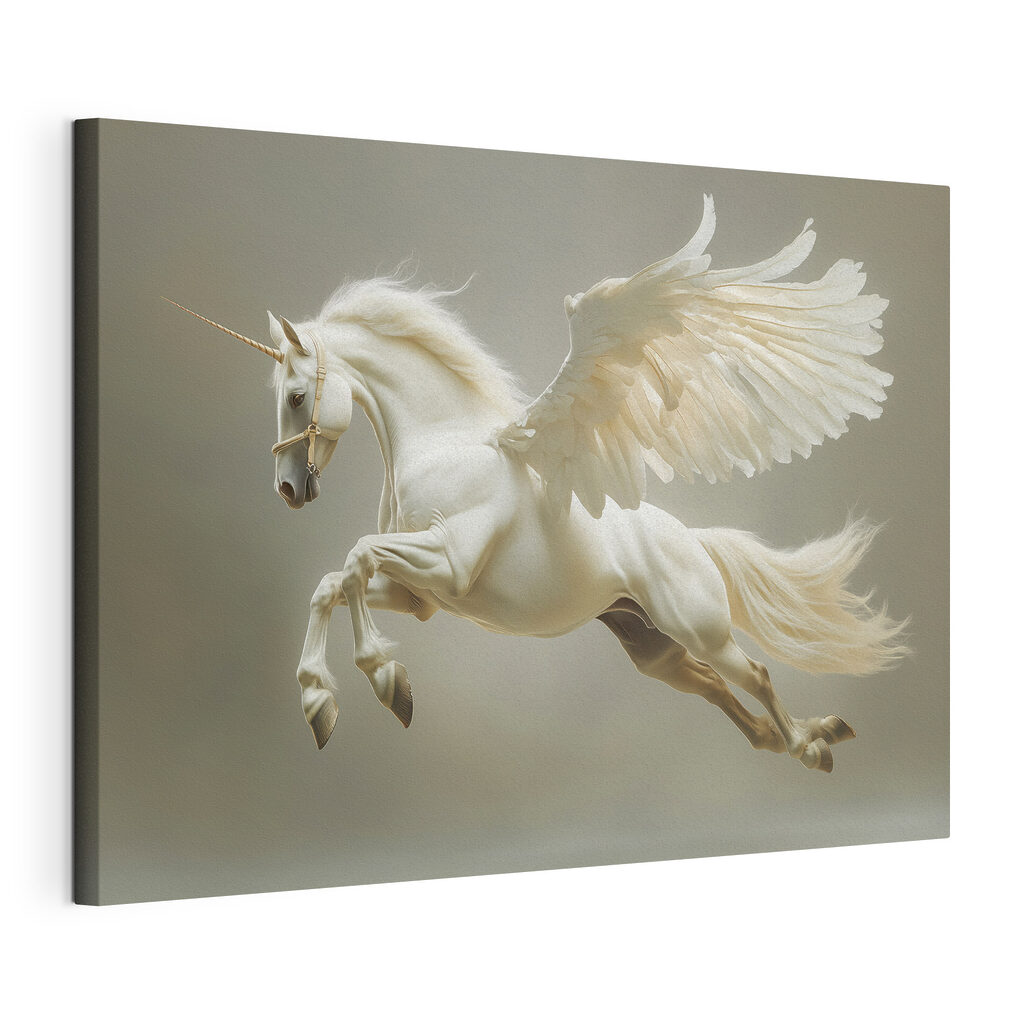White horse with wings White horse with wings