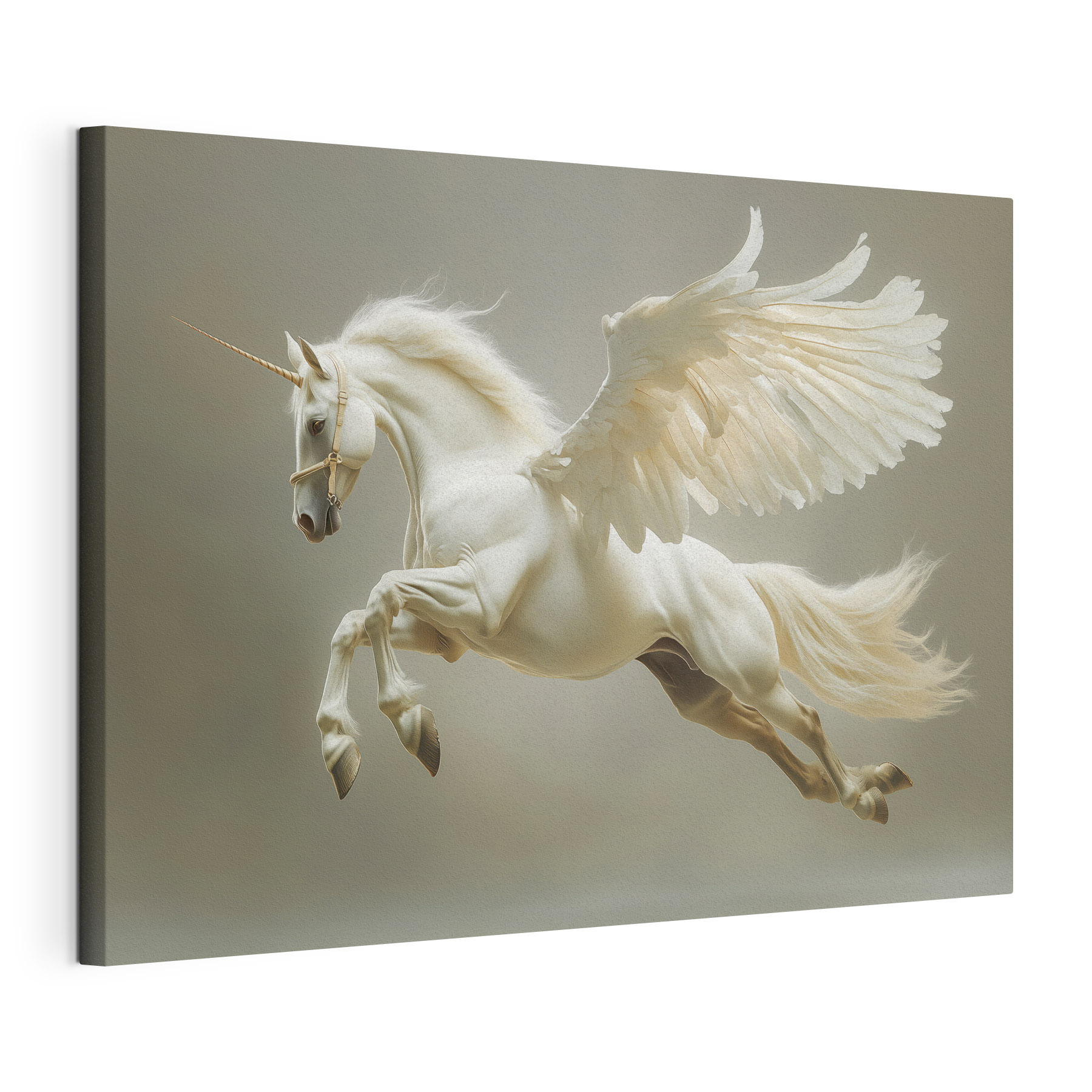 White horse with wings White horse with wings