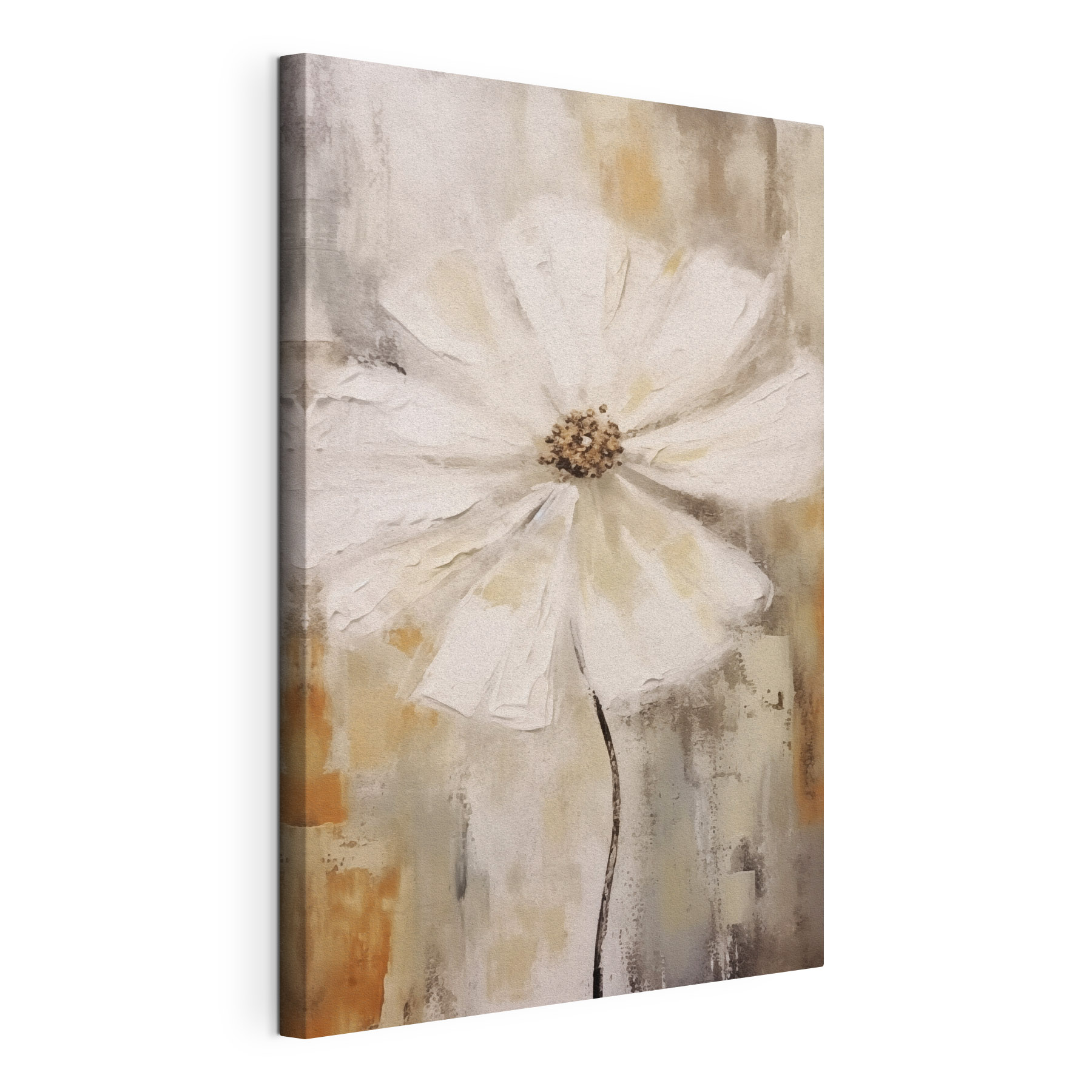 White flower with brown center White flower with brown center