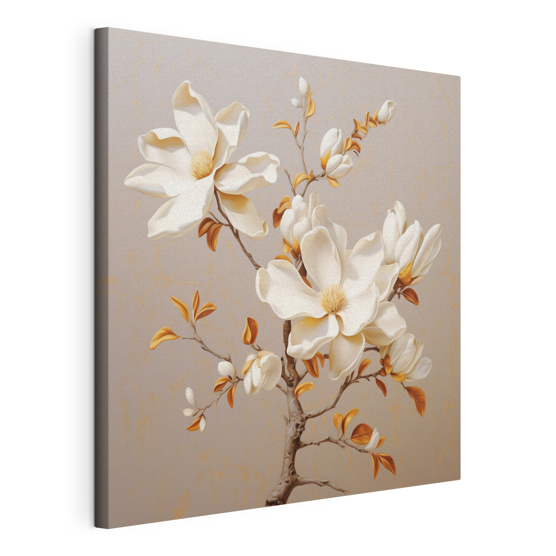 White flowers on a branch White flowers on a branch