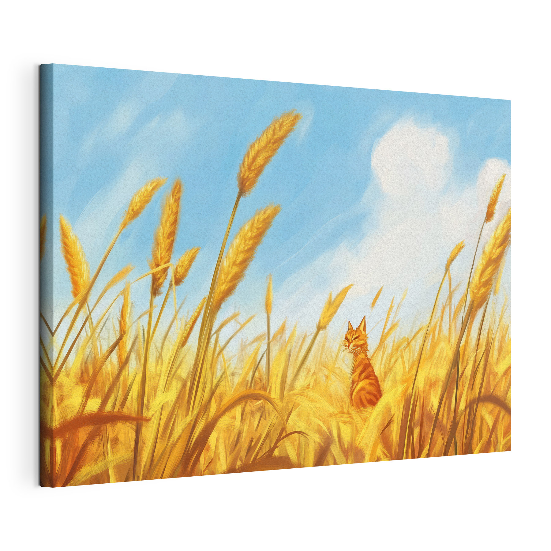 Cat sitting in a wheat field Cat sitting in a wheat field