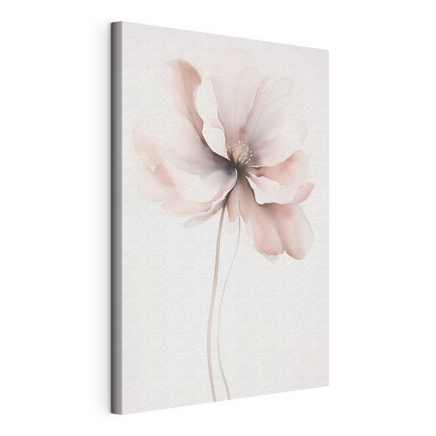 Delicate bloom in soft hues Delicate bloom in soft hues