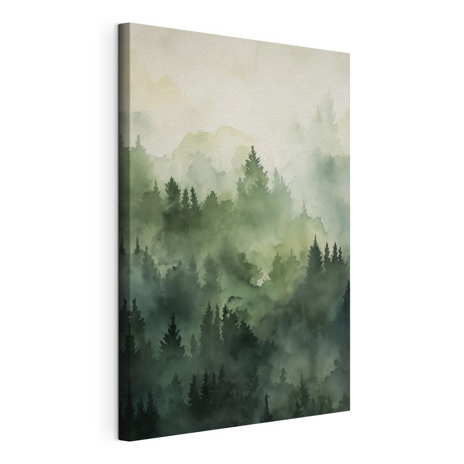 Foggy forest with trees Foggy forest with trees