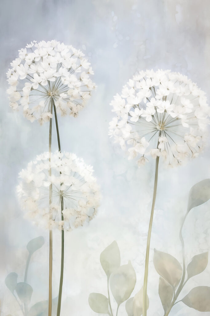 Group of white flowers