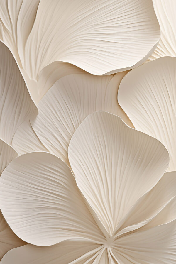 Delicate layers of soft petals Delicate layers of soft petals
