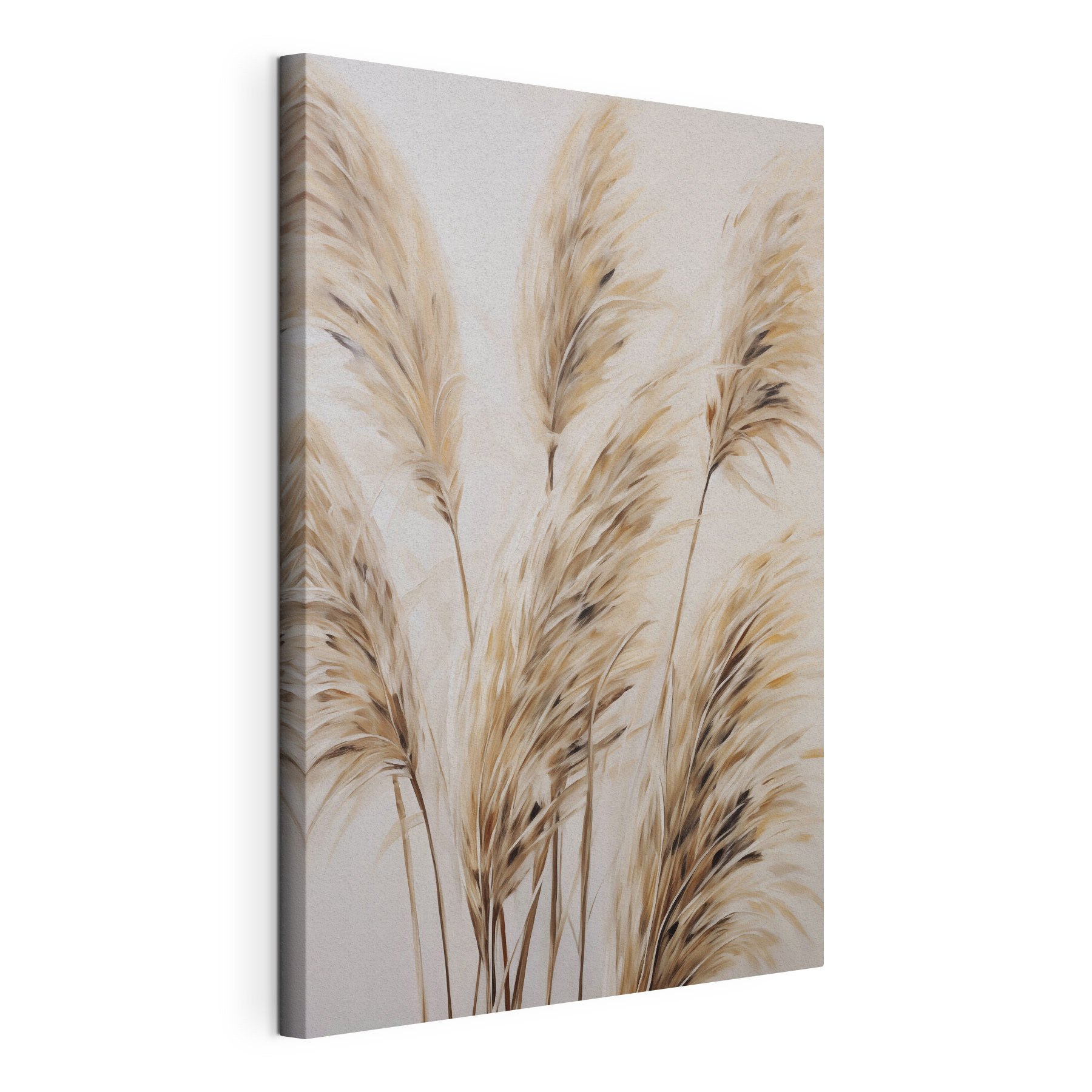 Group of brown and white plants