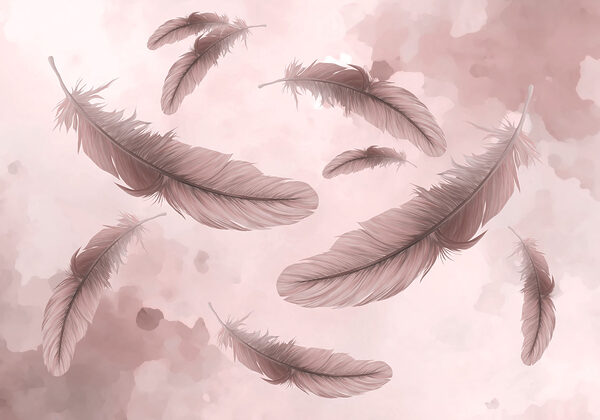 Group of feathers floating in the air Group of feathers floating in the air