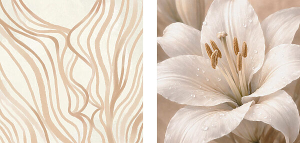 Smooth lines and elegant lilies