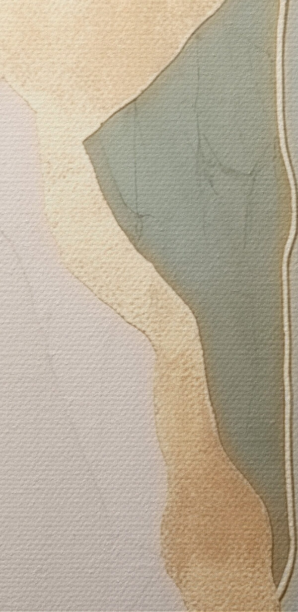 Elegant lines and soft colors