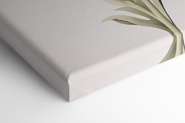 Delicate blossoms in soft hues