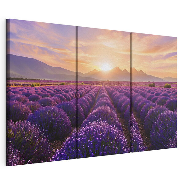 Lavender field with mountains in the background Lavender field with mountains in the background