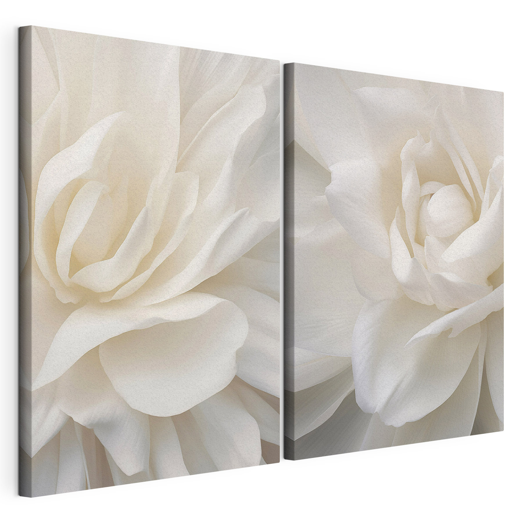 - Elegant petals in soft white hues