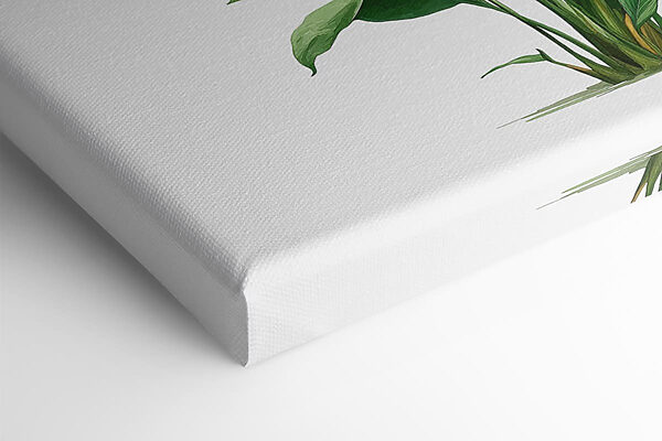 Fresh foliage brings nature indoors Fresh foliage brings nature indoors