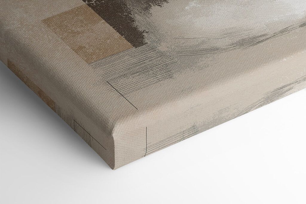 White cat and black cat White cat and black cat