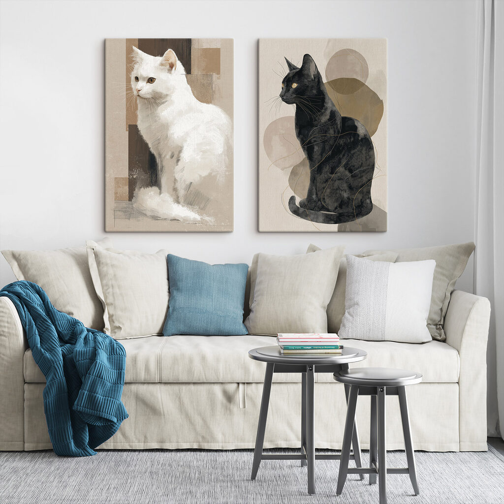 White cat and black cat White cat and black cat