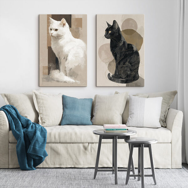 White cat and black cat White cat and black cat
