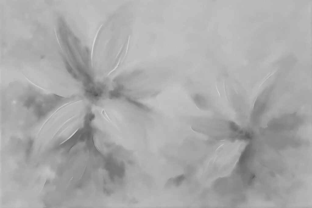 Grey and white image of flowers Grey and white image of flowers