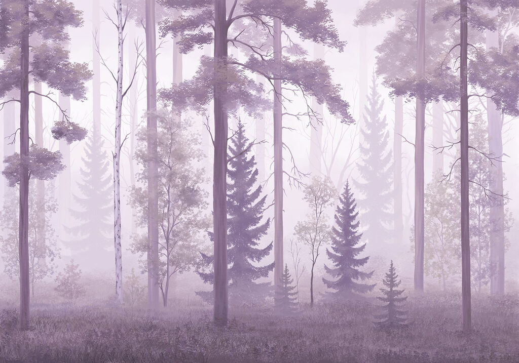 Foggy forest with trees Foggy forest with trees