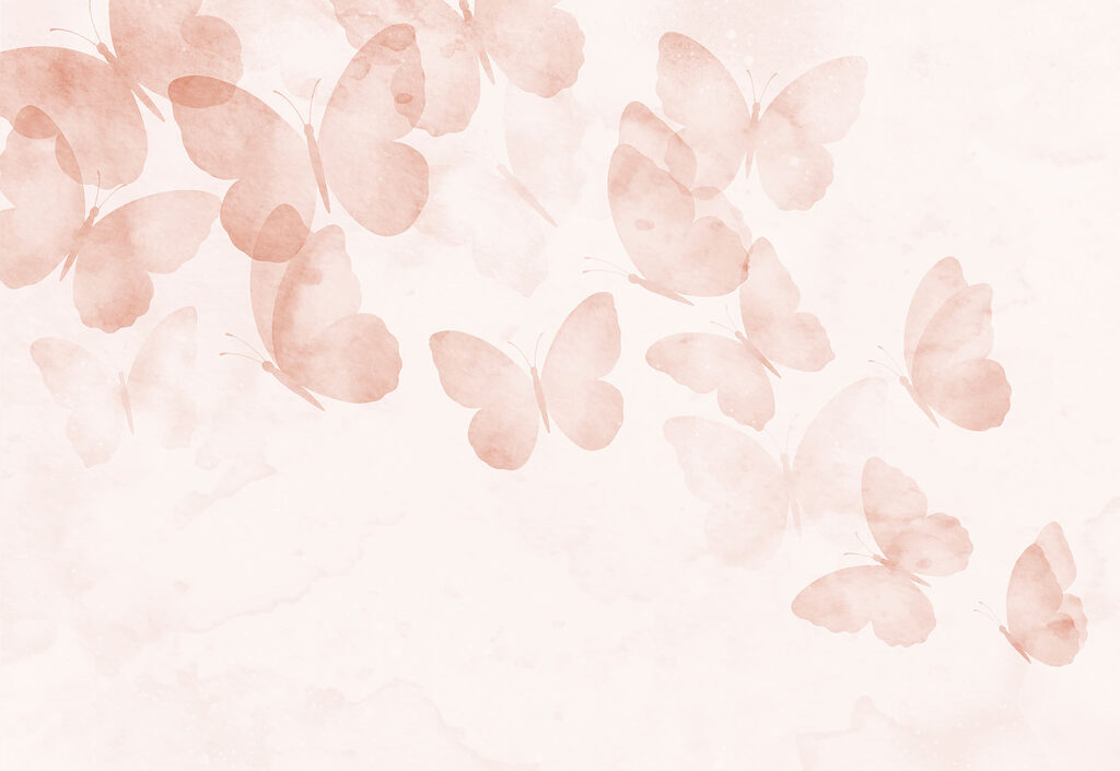 Group of butterflies on a white background Group of butterflies on a white background