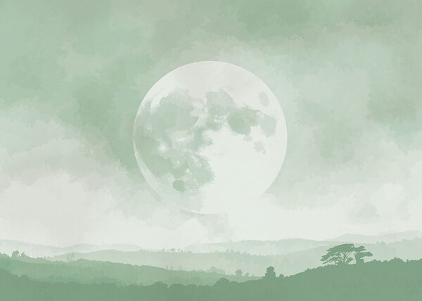 Moon in the sky