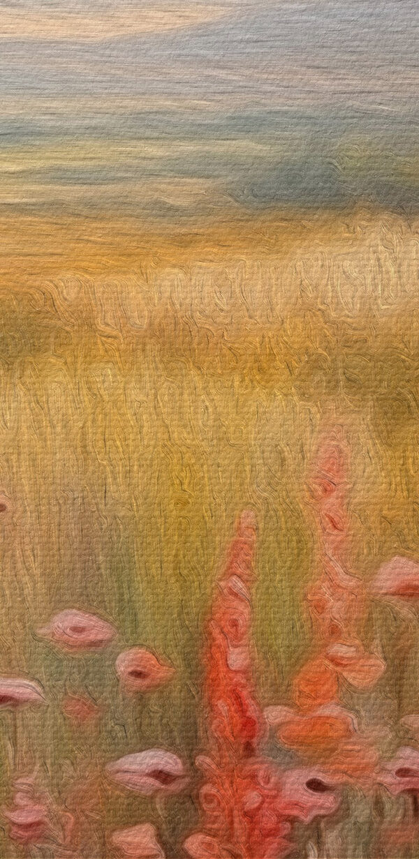 Field of flowers and trees