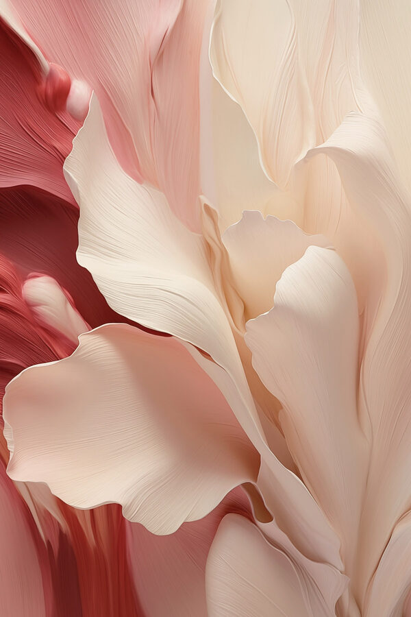 Gentle petals in soft hues Gentle petals in soft hues