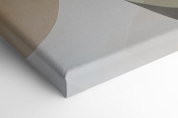 Soft curves in gentle colors