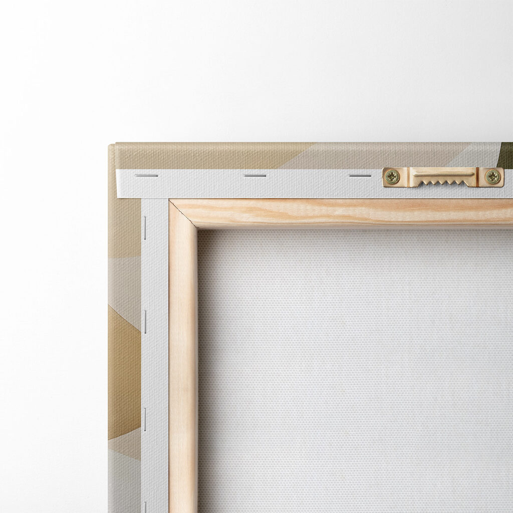 Soft curves in gentle colors